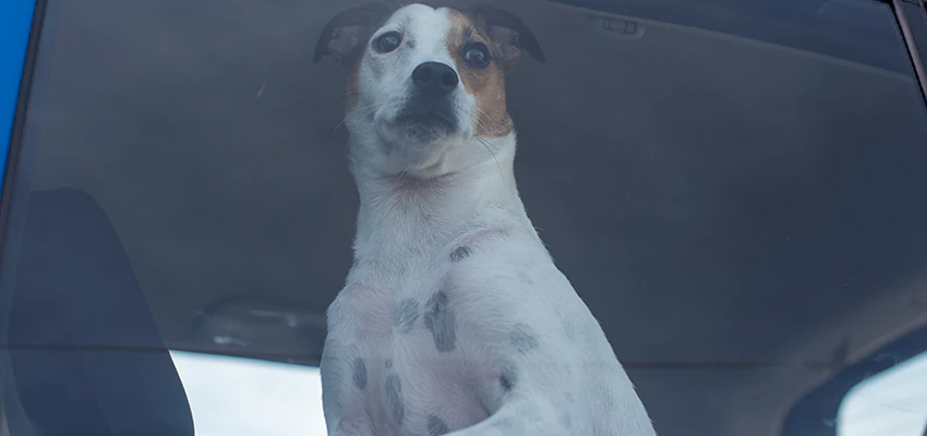 Car Lockout Solutions in Cathedral City, California